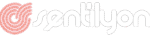 Sentilyon Digital Agency