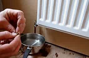 İlaçlı Petek Temizliği